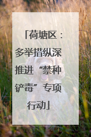 荷塘区：多举措纵深推进“禁种铲毒”专项行动