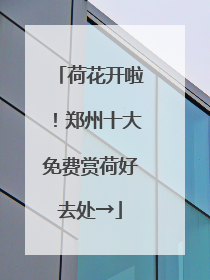 荷花开啦！郑州十大免费赏荷好去处→