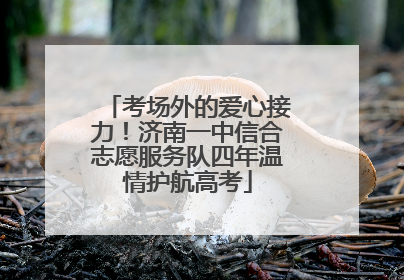 考场外的爱心接力！济南一中信合志愿服务队四年温情护航高考