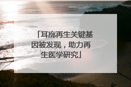 耳廓再生关键基因被发现，助力再生医学研究