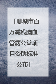 聊城市百万减残脑血管病公益项目资助标准公布