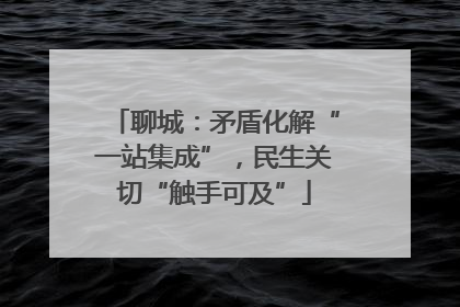 聊城：矛盾化解“一站集成”，民生关切“触手可及”
