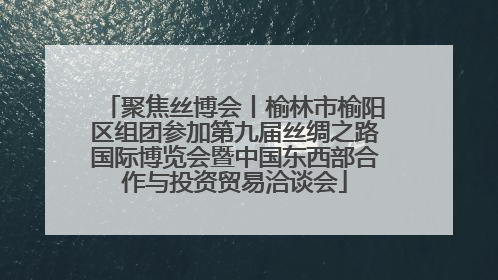 聚焦丝博会丨榆林市榆阳区组团参加第九届丝绸之路国际博览会暨中国东西部合作与投资贸易洽谈会