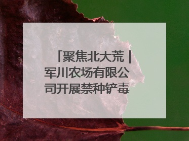 聚焦北大荒｜军川农场有限公司开展禁种铲毒排查宣传行动