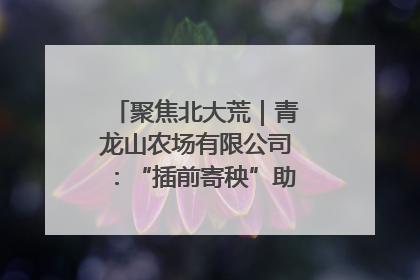 聚焦北大荒｜青龙山农场有限公司：“插前寄秧”助力农业节本增效