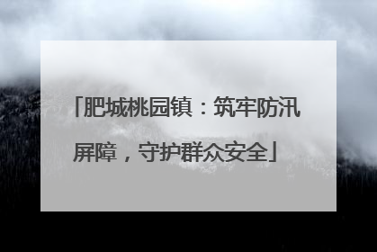 肥城桃园镇：筑牢防汛屏障，守护群众安全