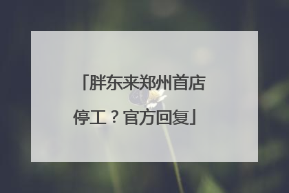 胖东来郑州首店停工？官方回复
