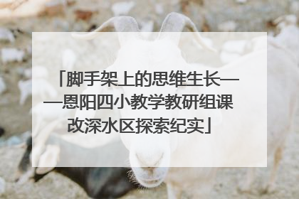 脚手架上的思维生长——恩阳四小教学教研组课改深水区探索纪实