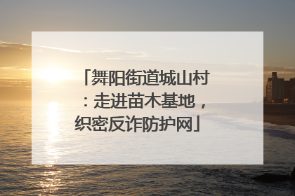 舞阳街道城山村：走进苗木基地，织密反诈防护网