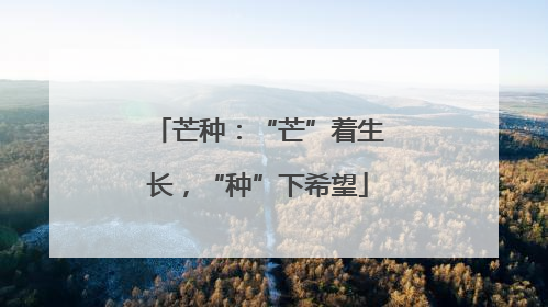 芒种：“芒”着生长，“种”下希望