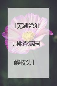 芜湖湾沚：桃香满园醉枝头