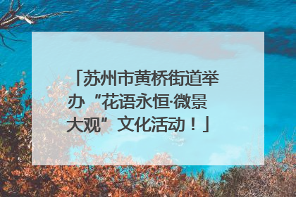 苏州市黄桥街道举办“花语永恒·微景大观”文化活动！