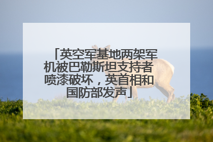 英空军基地两架军机被巴勒斯坦支持者喷漆破坏，英首相和国防部发声