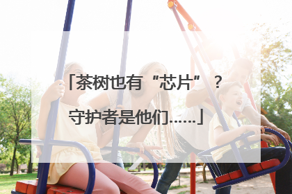茶树也有“芯片”？守护者是他们……