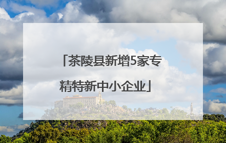 茶陵县新增5家专精特新中小企业