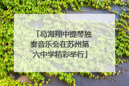 葛海翔中提琴独奏音乐会在苏州第六中学精彩举行