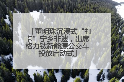 董明珠沉浸式“打卡”宁乡非遗，出席格力钛新能源公交车投放启动式