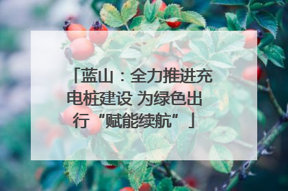 蓝山：全力推进充电桩建设 为绿色出行“赋能续航”