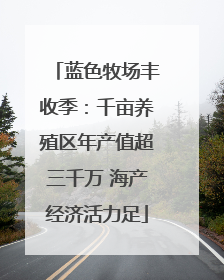 蓝色牧场丰收季：千亩养殖区年产值超三千万 海产经济活力足
