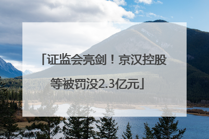 证监会亮剑！京汉控股等被罚没2.3亿元