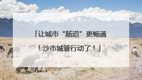 让城市“肠道”更畅通！沙市城管行动了！