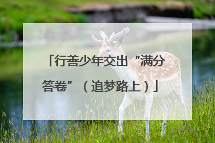行善少年交出“满分答卷”（追梦路上）