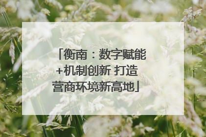 衡南：数字赋能+机制创新 打造营商环境新高地