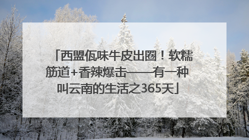 西盟佤味牛皮出圈！软糯筋道+香辣爆击——有一种叫云南的生活之365天