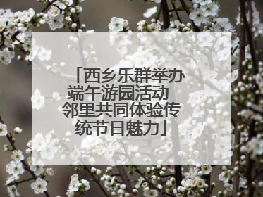 西乡乐群举办端午游园活动 邻里共同体验传统节日魅力