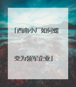 西南小厂如何蝶变为领军企业
