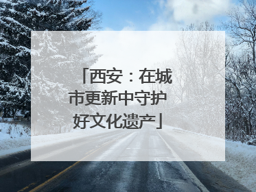 西安：在城市更新中守护好文化遗产