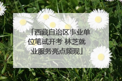 西藏自治区事业单位笔试开考 林芝就业服务亮点频现