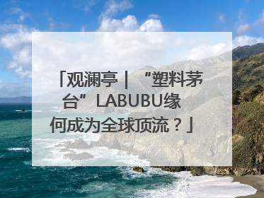 观澜亭｜“塑料茅台”LABUBU缘何成为全球顶流？