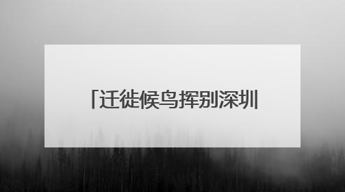 迁徙候鸟挥别深圳北归：单日监测数量最高突破2万只