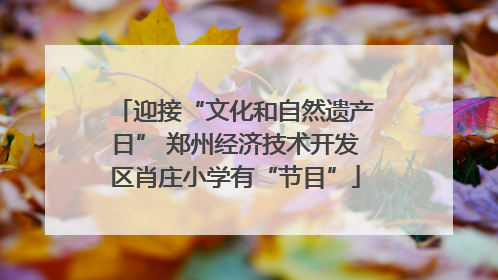 迎接“文化和自然遗产日” 郑州经济技术开发区肖庄小学有“节目”