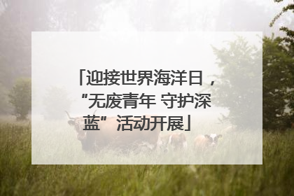 迎接世界海洋日，“无废青年 守护深蓝”活动开展