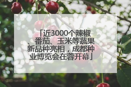 近3000个辣椒、番茄、玉米等蔬果新品种亮相，成都种业博览会在蓉开幕