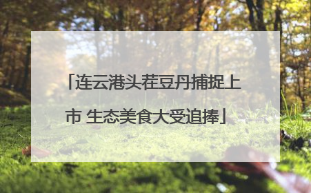 连云港头茬豆丹捕捉上市 生态美食大受追捧