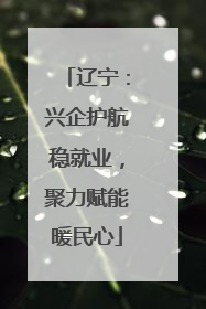 辽宁：兴企护航稳就业，聚力赋能暖民心