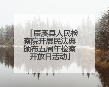 辰溪县人民检察院开展民法典颁布五周年检察开放日活动