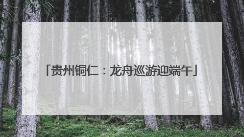 贵州铜仁：龙舟巡游迎端午