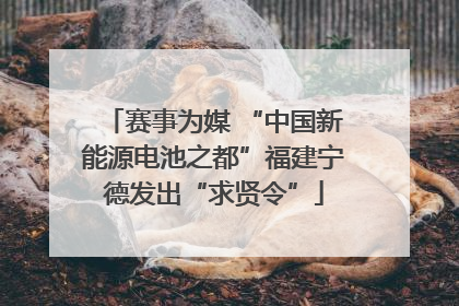 赛事为媒 “中国新能源电池之都”福建宁德发出“求贤令”