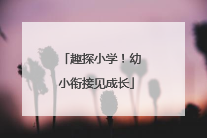 趣探小学！幼小衔接见成长