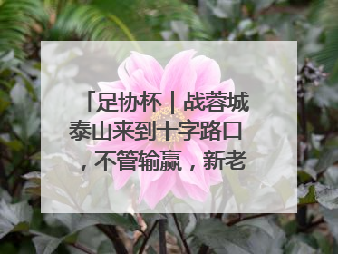 足协杯｜战蓉城泰山来到十字路口，不管输赢，新老交替势在必行