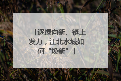 逐绿向新、链上发力，江北水城如何“焕新”