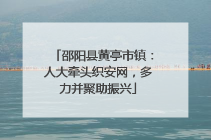 邵阳县黄亭市镇：人大牵头织安网，多力并聚助振兴