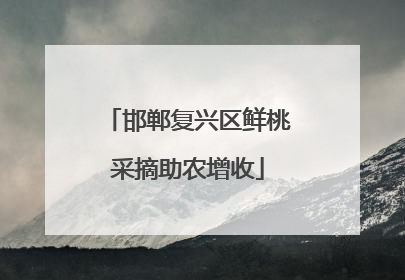 邯郸复兴区鲜桃采摘助农增收