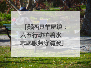 郧西县羊尾镇：六五行动护碧水 志愿服务守清波