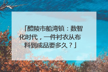 醴陵市船湾镇：数智化时代，一件衬衣从布料到成品要多久？