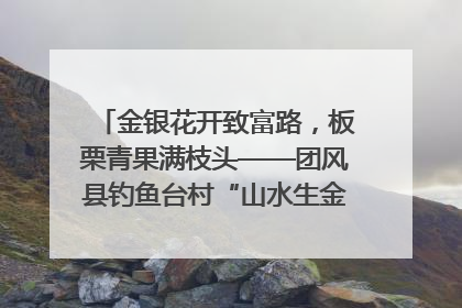 金银花开致富路，板栗青果满枝头——团风县钓鱼台村“山水生金”谱写共富新篇章